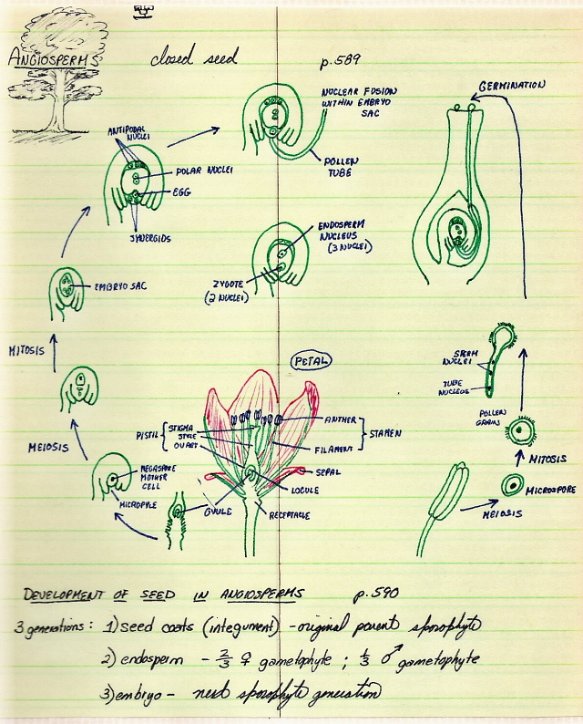 1975bionotes.jpg